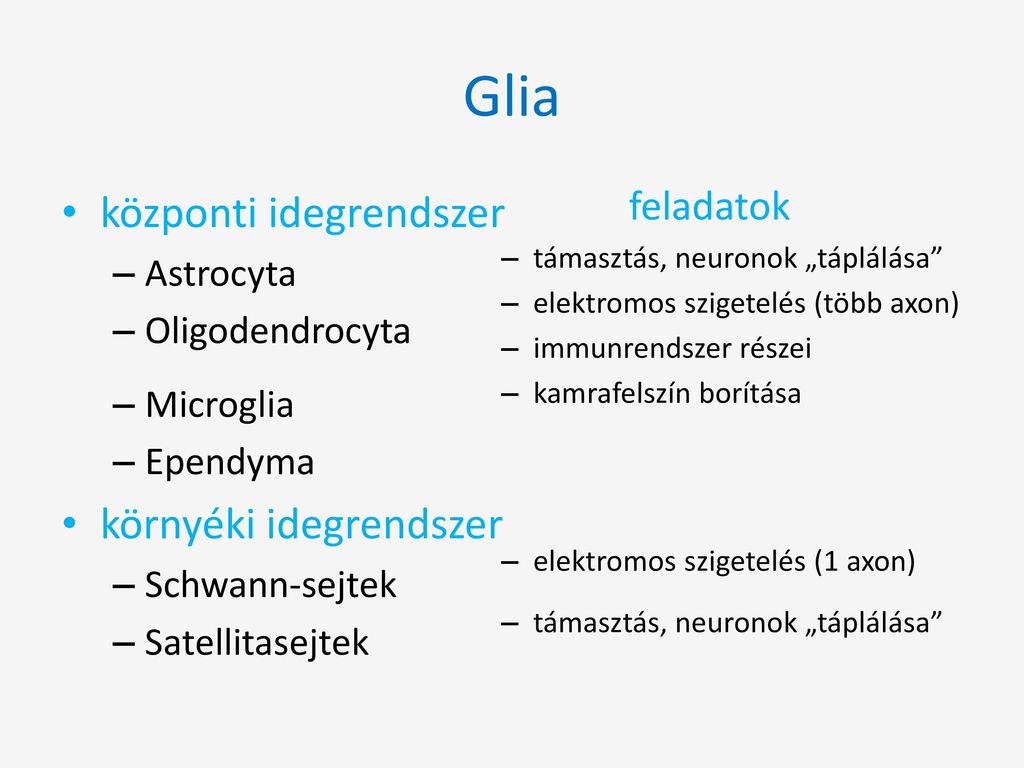 Eg Szs G Gyi Gyvitelszervez Szak Ppt Let Lteni